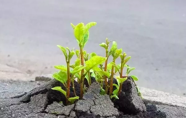 Covid-19 Resource Lists, and a Moment for Transformation